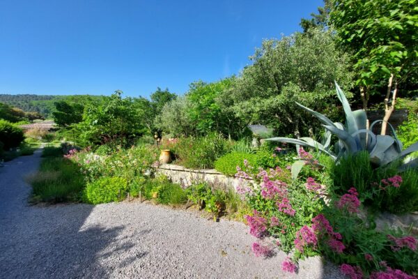 WhatsApp Image 2025-10-13 at 22.48.34(1)