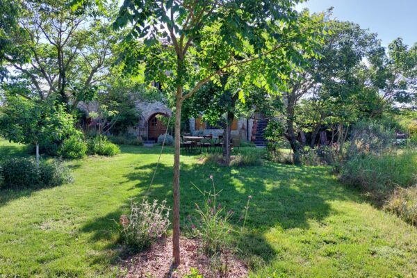 WhatsApp Image 2025-10-13 at 22.48.43