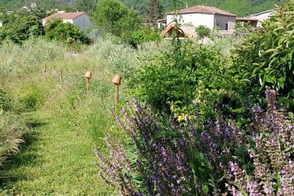 WhatsApp Image 2025-10-13 at 22.48.43(1)