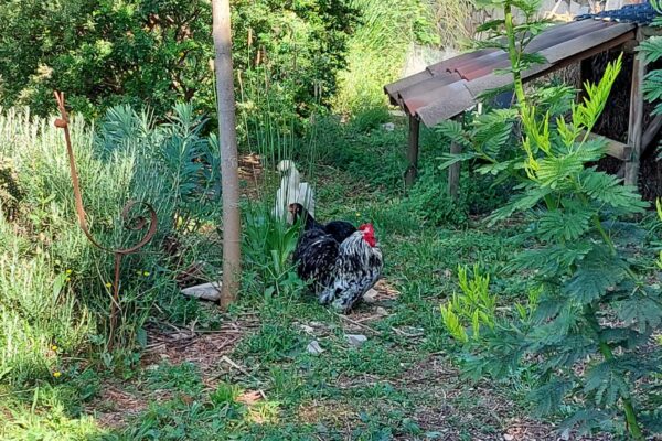 WhatsApp Image 2025-10-13 at 22.48.44