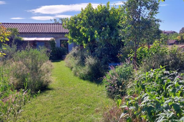 WhatsApp Image 2025-10-13 at 22.48.44(2)