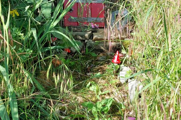 WhatsApp Image 2025-10-13 at 22.48.45