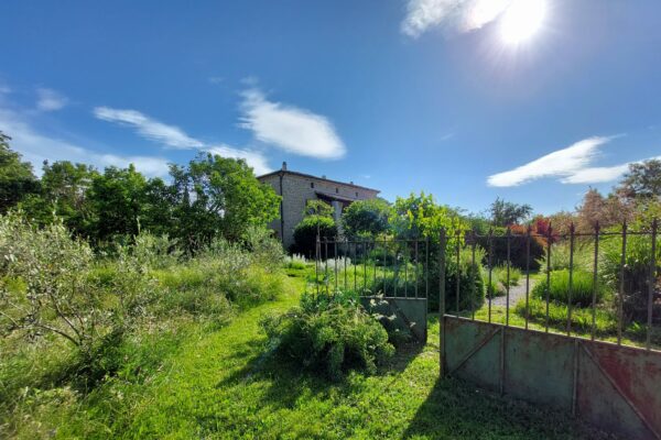 WhatsApp Image 2025-10-13 at 22.48.49