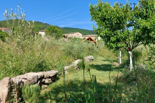 WhatsApp Image 2025-10-13 at 22.48.49(1)