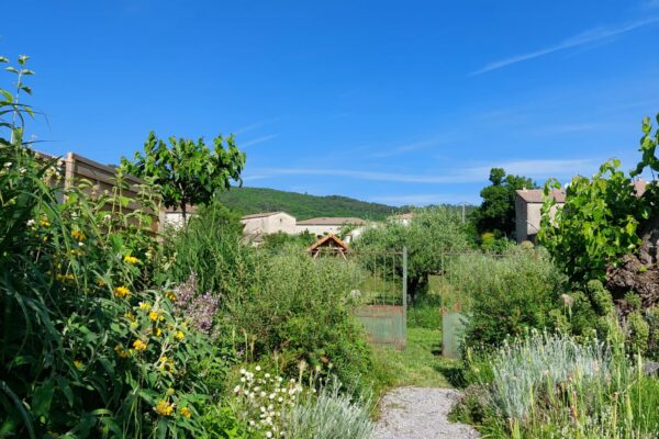 WhatsApp Image 2025-10-13 at 22.48.49(3)