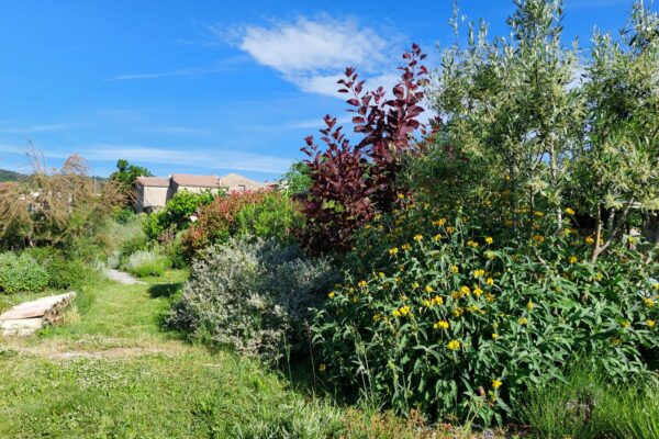 WhatsApp Image 2025-10-13 at 22.48.50