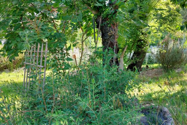 WhatsApp Image 2025-10-13 at 22.48.50(2)