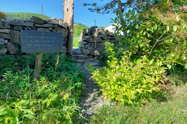 WhatsApp Image 2025-10-13 at 22.48.50(3)