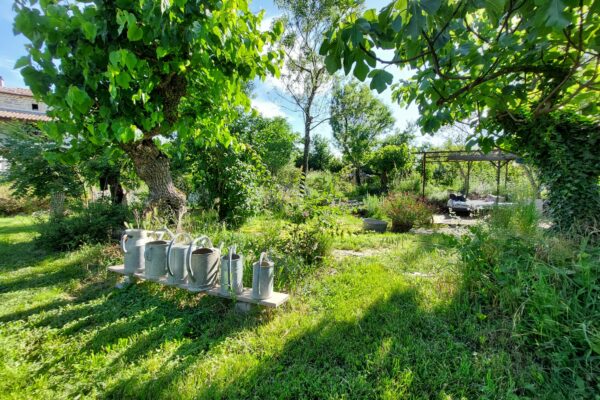 WhatsApp Image 2025-10-13 at 22.48.50(4)