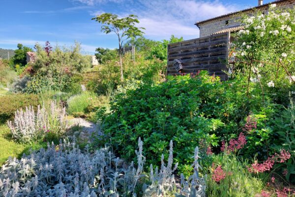 WhatsApp Image 2025-10-13 at 22.48.50(6)