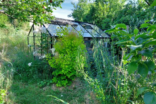 WhatsApp Image 2025-10-13 at 22.48.50(7)