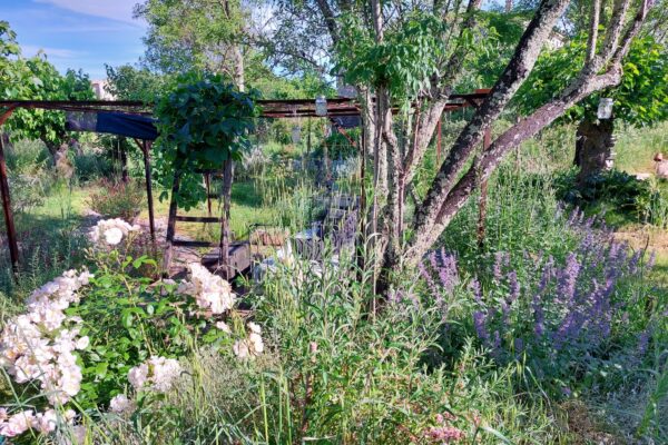 WhatsApp Image 2025-10-13 at 22.48.50(8)