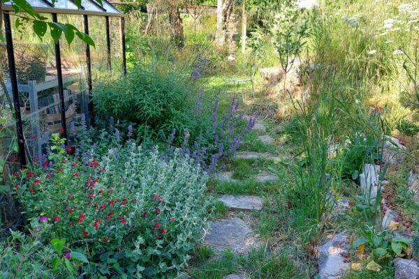 WhatsApp Image 2025-10-13 at 22.48.51