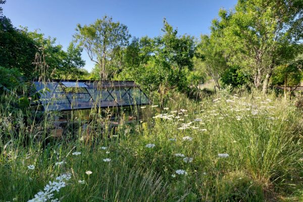 WhatsApp Image 2025-10-13 at 22.48.51(1)