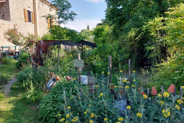 WhatsApp Image 2025-10-13 at 22.48.51(2)