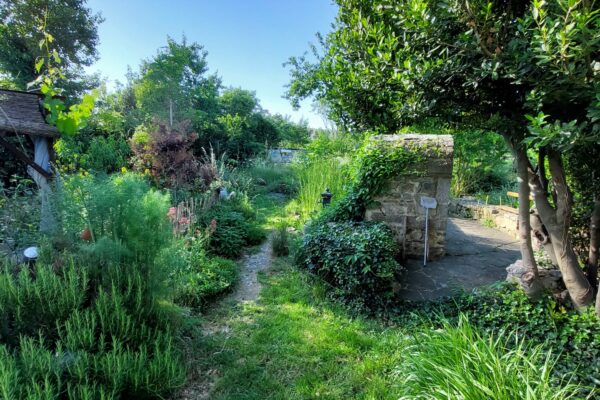 WhatsApp Image 2025-10-13 at 22.48.51(3)