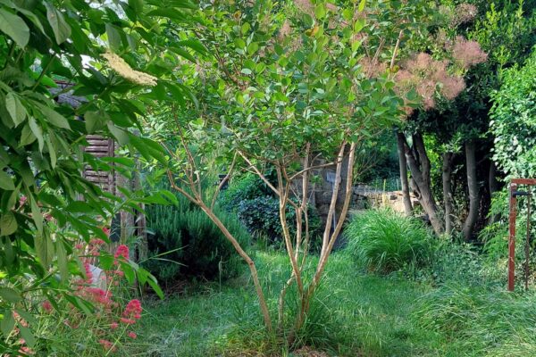 WhatsApp Image 2025-10-13 at 22.48.51(5)